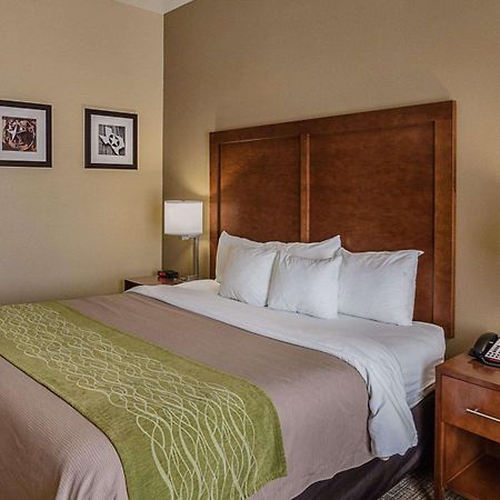 Comfort Inn Midland South I-20 Exterior foto
